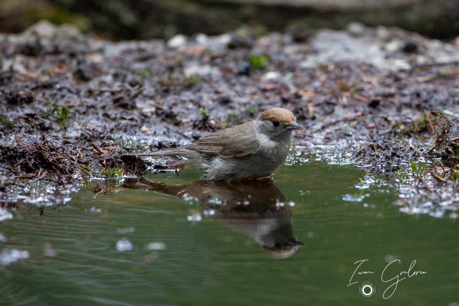 25 juni 2022 172832 1R2A1047